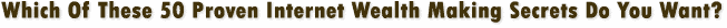 Internet Wealth Secrets